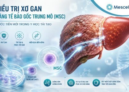 Điều trị xơ gan bằng tế bào gốc-01