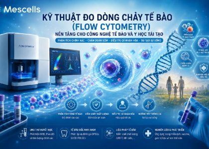 Đo dòng chảy tế bào-flow cytometry-01