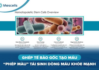 Ghép tế bào gốc tạo máu-01