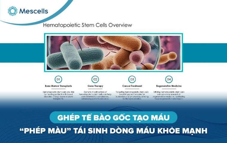 Ghép tế bào gốc tạo máu-01