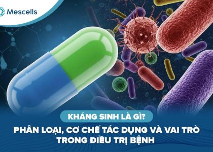 Kháng sinh là gì-01