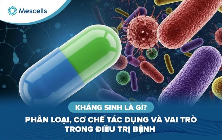 Kháng sinh là gì-01