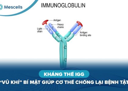Kháng thể IgG-01