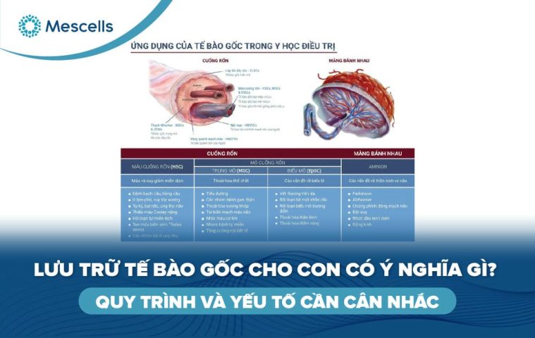 Lưu trữ tế bào gốc cho con-01