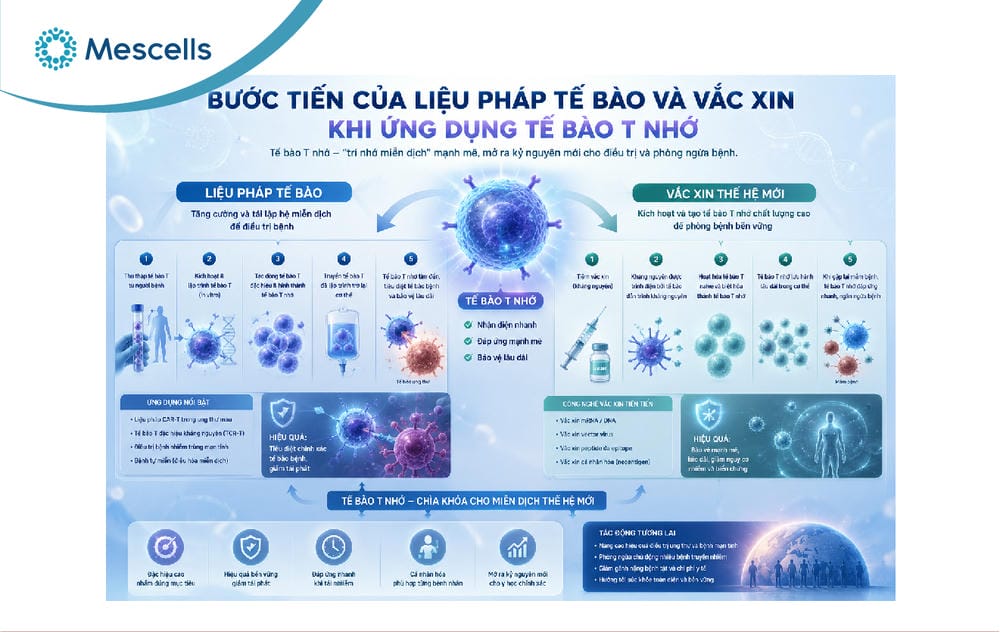 Tế bào T nhớ-06