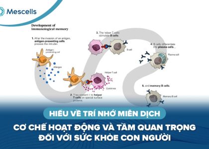 Trí nhớ miễn dịch-01