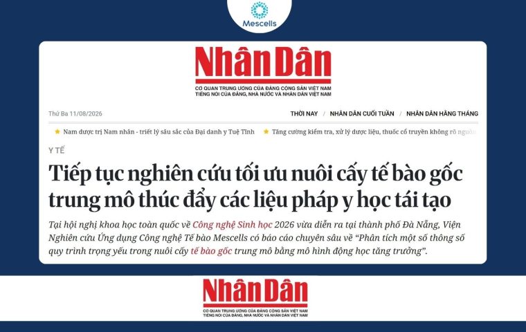 nghiên cứu tối ưu nuôi cấy tế bào gốc trung mô