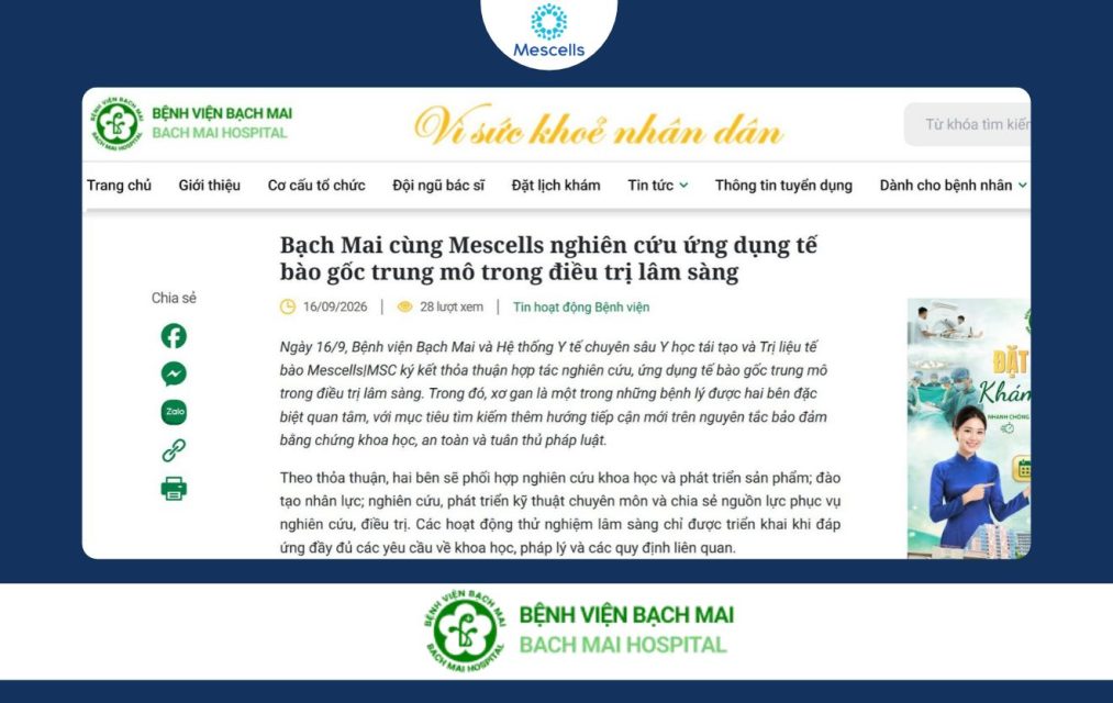 Bạch Mai cùng Mescells nghiên cứu ứng dụng tế bào gốc trung mô trong điều trị lâm sàng