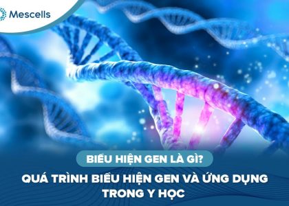 Biểu hiện gen là gì-01