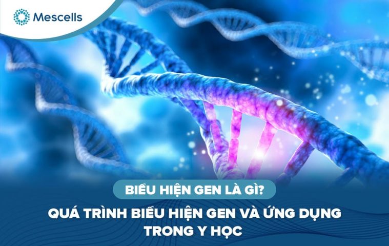 Biểu hiện gen là gì-01