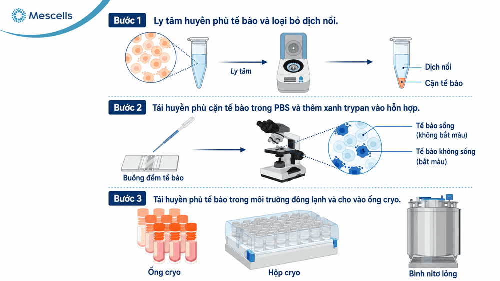 Công nghệ bảo quản đông lạnh tế bào gốc-01