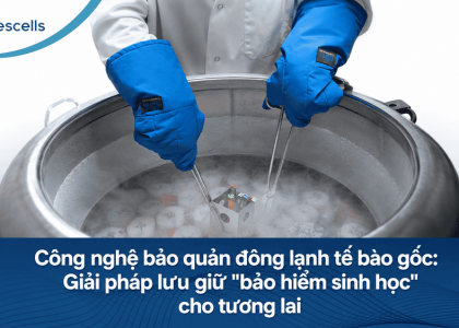 Công nghệ bảo quản đông lạnh tế bào gốc