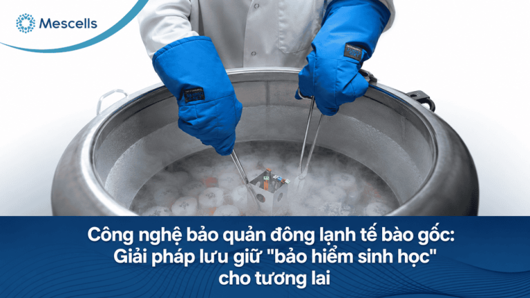Công nghệ bảo quản đông lạnh tế bào gốc
