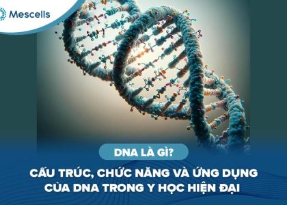 DNA là gì-01