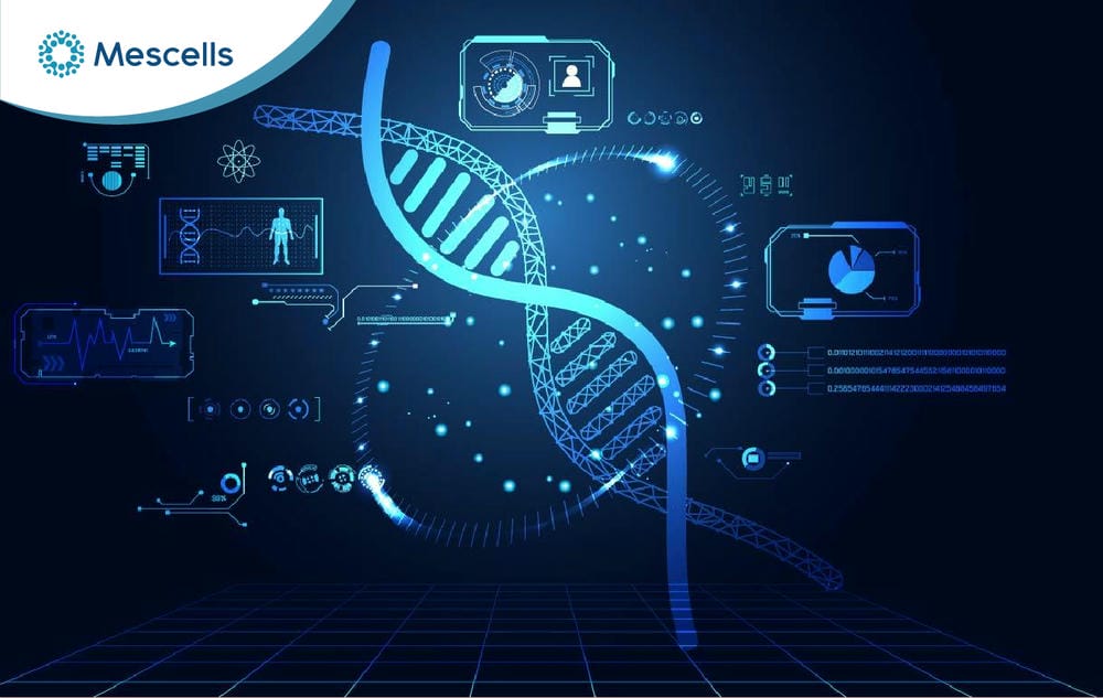DNA là gì-05