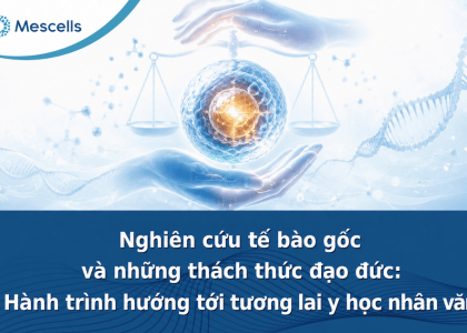 Đạo đức trong nghiên cứu tế bào gốc