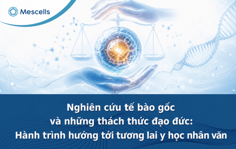 Đạo đức trong nghiên cứu tế bào gốc