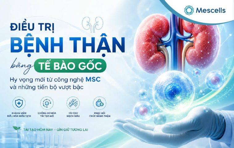 Điều trị bệnh thận bằng tế bào gốc-01