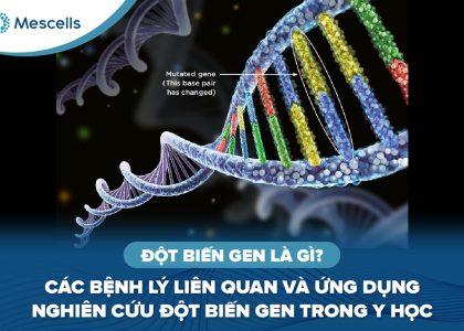 Đột biến gen là gì-01