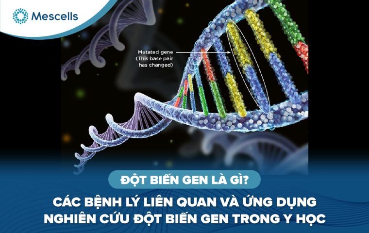 Đột biến gen là gì-01