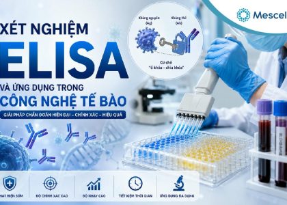 ELISA là gì-01