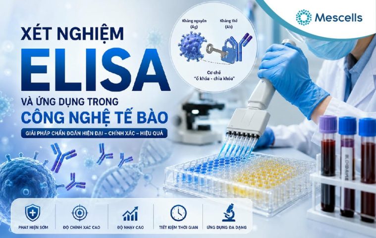 ELISA là gì-01