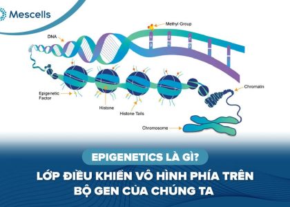Epigenetics là gì-01