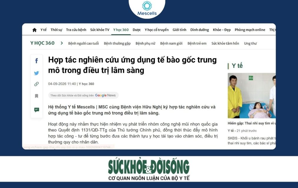 Hợp tác nghiên cứu ứng dụng tế bào gốc trung mô trong điều trị lâm sàng