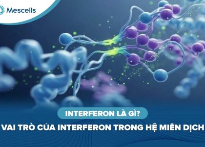 Interferon là gì-01