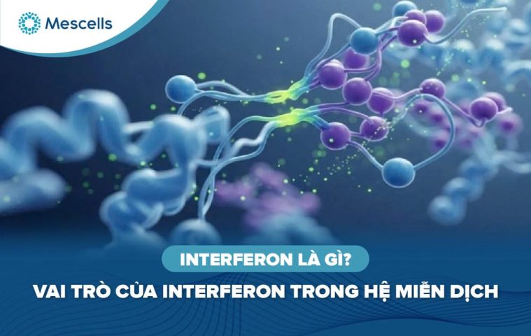 Interferon là gì-01