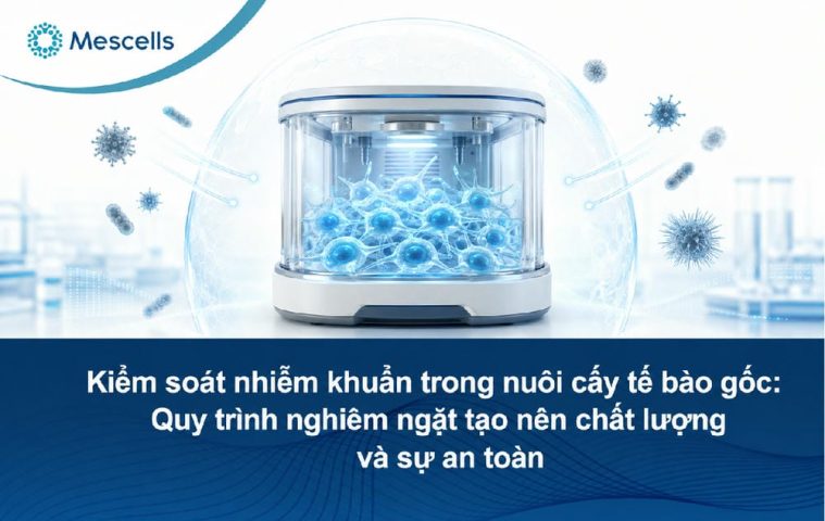 Kiểm soát nhiễm khuẩn trong phòng nuôi cấy tế bào-01