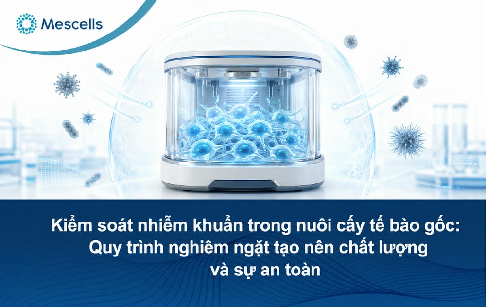 Kiểm soát nhiễm khuẩn trong phòng nuôi cấy tế bào-01