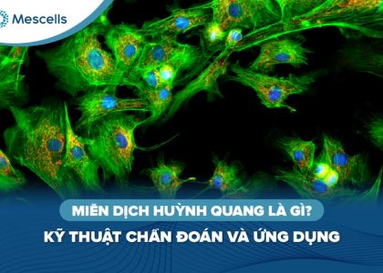 Miễn dịch huỳnh quang là gì-01