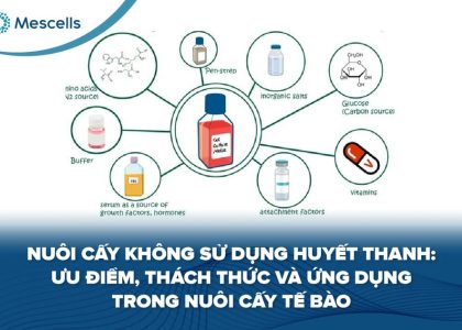 Nuôi cấy không sử dụng huyết thanh-01