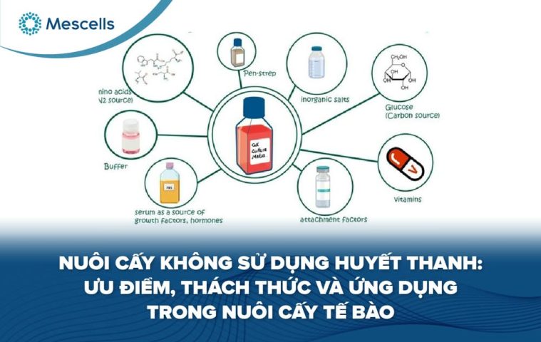 Nuôi cấy không sử dụng huyết thanh-01