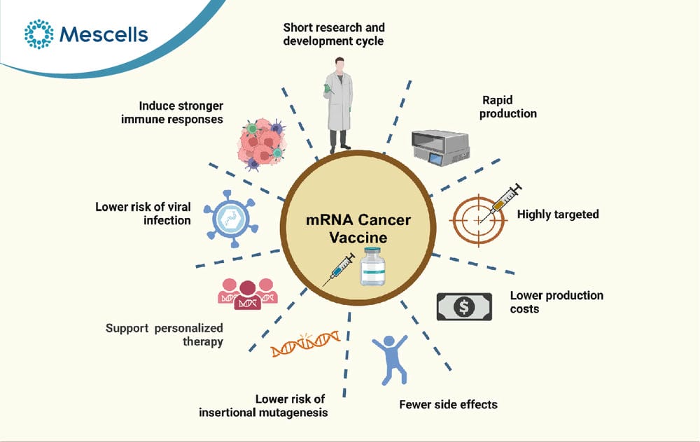 RNA là gì
