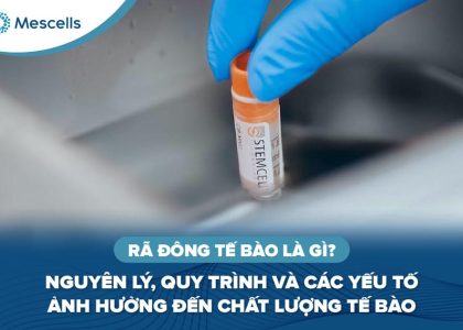 Rã đông tế bào là gì-01