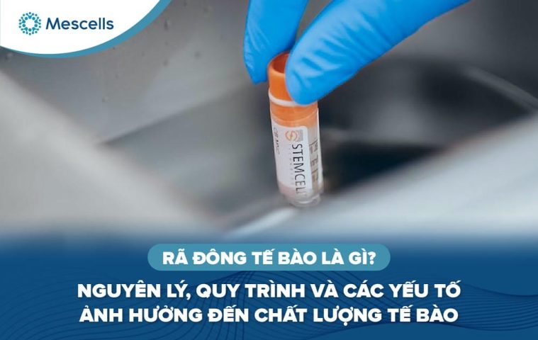 Rã đông tế bào là gì-01