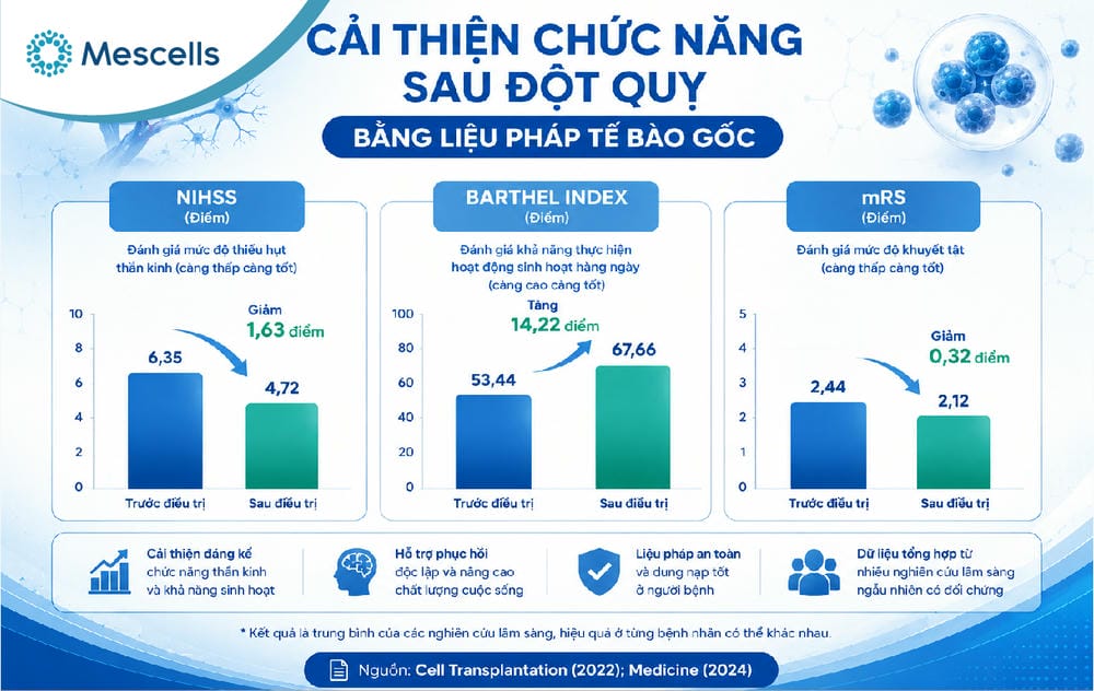 Tiềm năng của phương pháp tế bào gốc điều trị đột quỵ-09