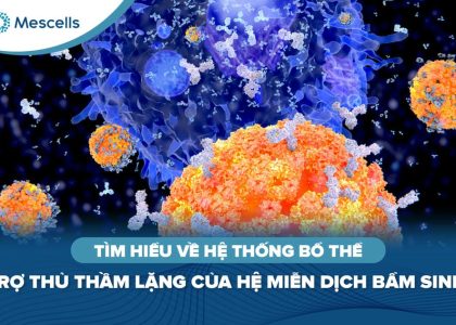 Tìm hiểu về hệ thống bổ thể-01