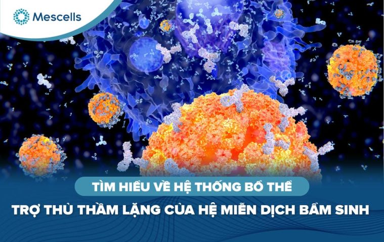 Tìm hiểu về hệ thống bổ thể-01