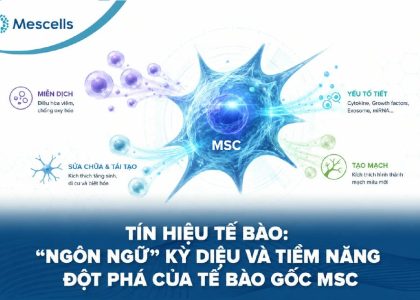 Tín hiệu tế bào là gì-01