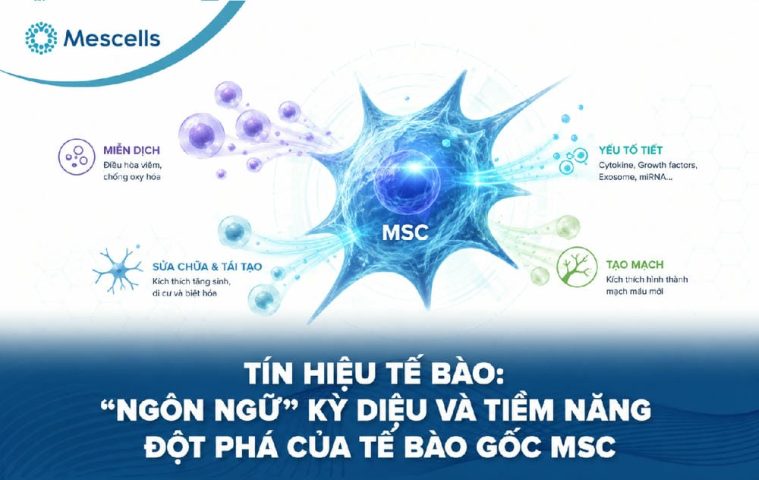 Tín hiệu tế bào là gì-01