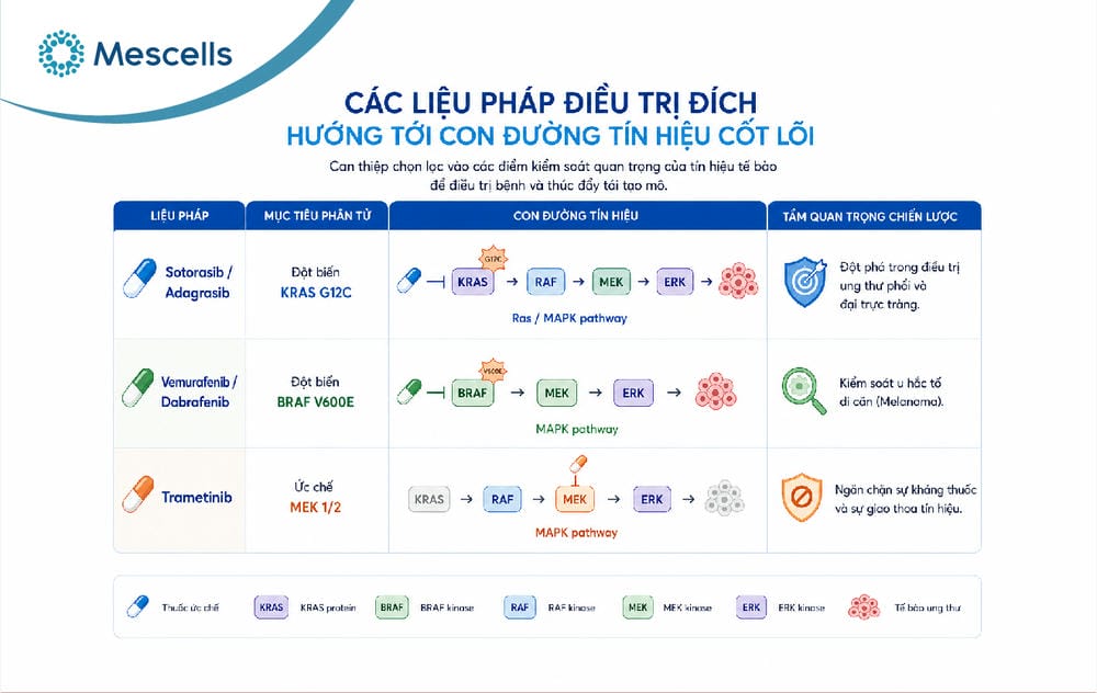 Tín hiệu tế bào là gì-08