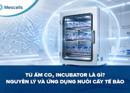 Tủ ấm CO₂ Incubator là gì-01
