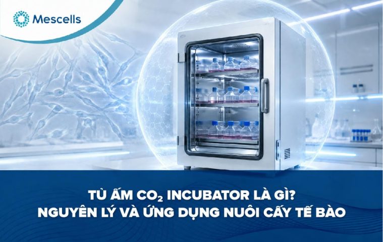 Tủ ấm CO₂ Incubator là gì-01