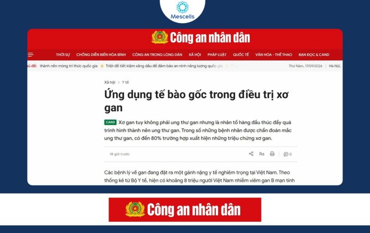 Ứng dụng tế bào gốc trong điều trị xơ gan