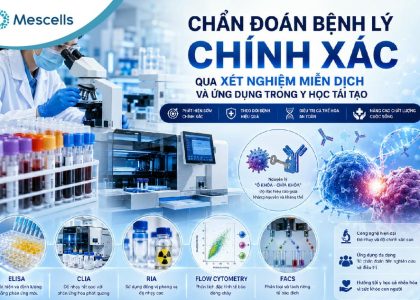 Xét nghiệm miễn dịch và ứng dụng trong y học tái tạo-01