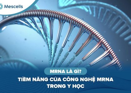 mRNA là gì-01