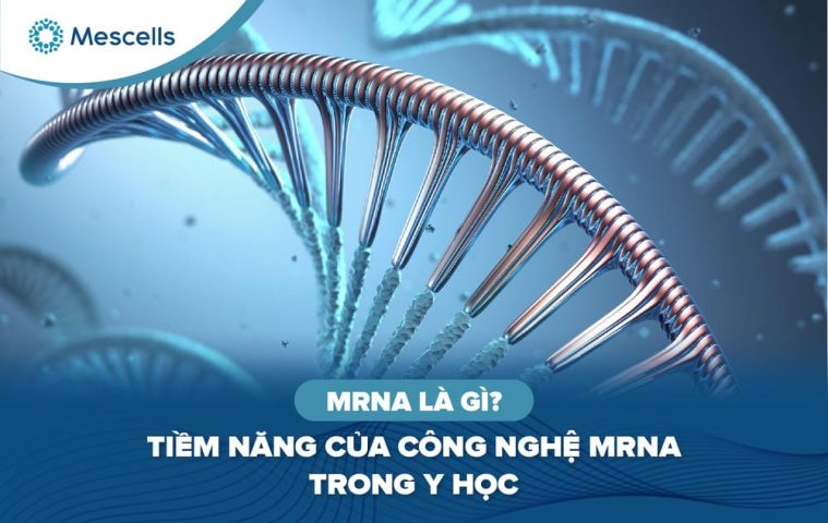 mRNA là gì-01